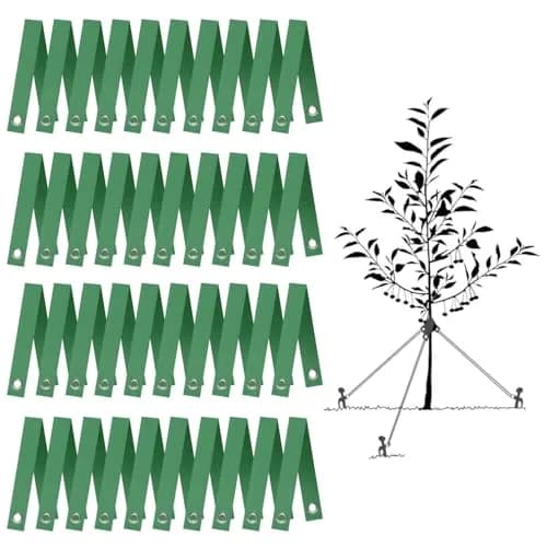 FCENDS Tree Support Straps for Staking, 40 PCS 39.6 cm (15.6 in) Green Nylon Straps | Hurricane Protection & Straightening Ties thumbnail 1