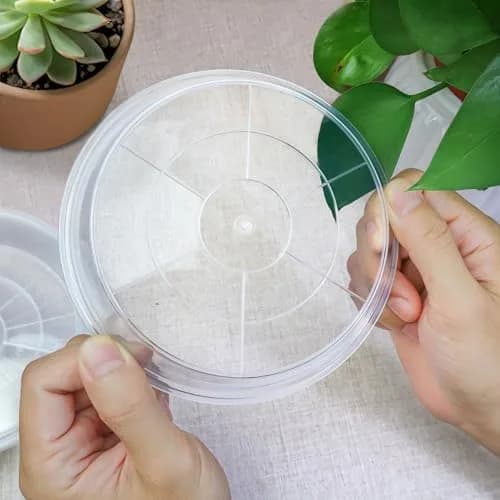 FUIJOL 6 Pack Clear Plant Saucer 4 Inch | Durable Water Catcher for Pots thumbnail 5