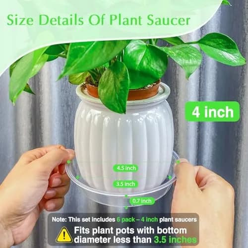 FUIJOL 6 Pack Clear Plant Saucer 4 Inch | Durable Water Catcher for Pots thumbnail 2