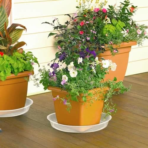 FUIJOL 6 Pack Clear Plant Saucer | Durable Water Catcher for Pots (10") thumbnail 6