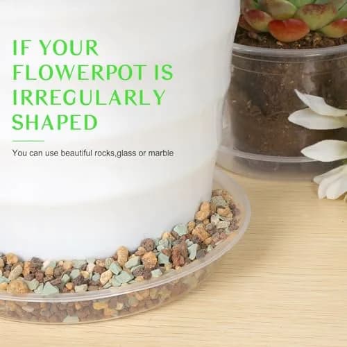 FUIJOL 6 Pack Clear Plant Saucer | Durable Water Catcher for Pots (10") thumbnail 7