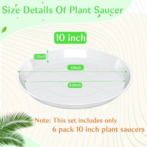 FUIJOL 6 Pack Clear Plant Saucer | Durable Water Catcher for Pots (10") thumbnail 2