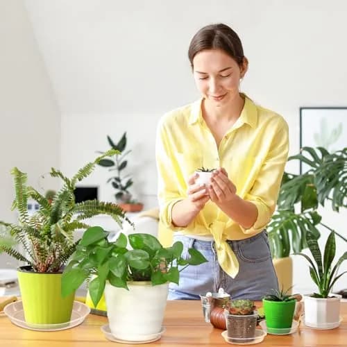FUIJOL 14" Clear Plant Saucer | Durable Plastic Water Catcher for Pots thumbnail 2