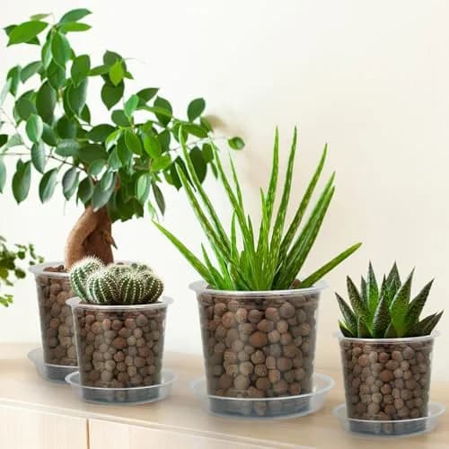 FUIJOL 6 Pack Clear Plant Saucer | Durable 8" Water Catcher for Indoor & Outdoor Pots thumbnail 4