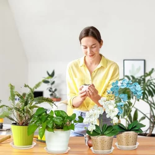 FUIJOL 6 Pack Clear Plant Saucer | Durable 8" Water Catcher for Indoor & Outdoor Pots thumbnail 6