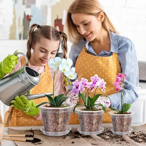 FUIJOL 6 Pack Clear Plant Saucer | Durable 8" Water Catcher for Indoor & Outdoor Pots thumbnail 3