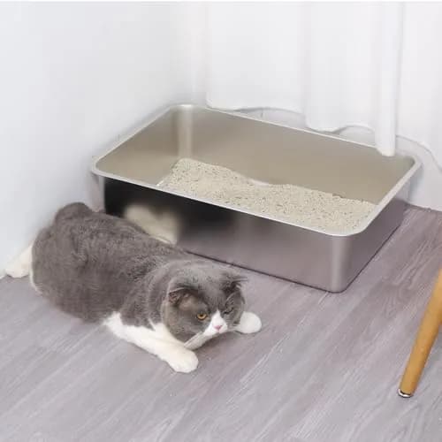 EGMEHOAD Stainless Steel Litter Box XL | Large Cat Litter Box for Big Cats & Pets thumbnail 4