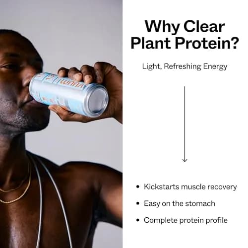 VUUM Sparkling Protein Drink, 12 Pack, White Peach Ginger | 10g Plant Protein, Sugar Free, Vegan & Keto Friendly thumbnail 5