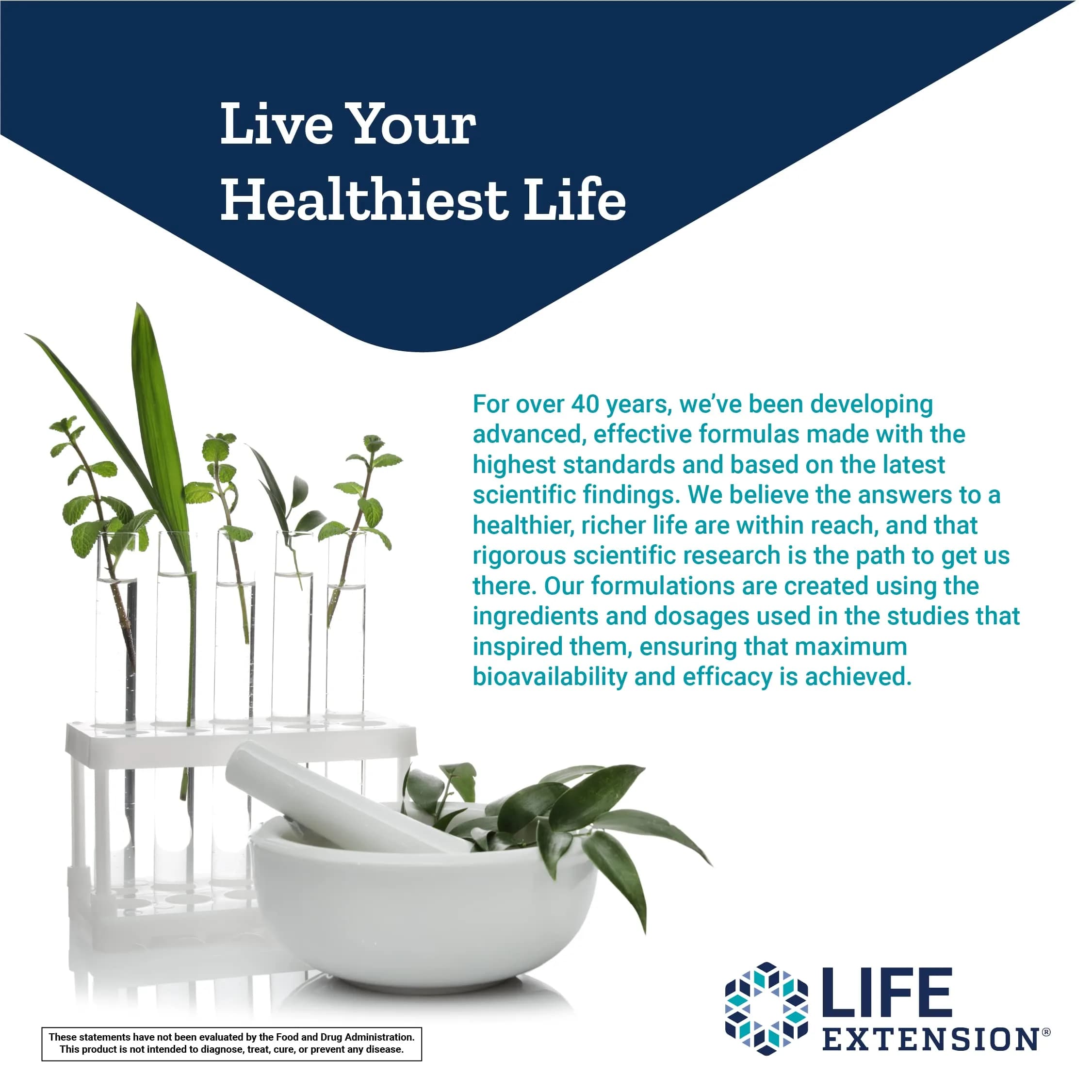 Life Extension TMG 500 mg Liquid Vegetarian Capsules (120 Count) | Supports Healthy Homocysteine Levels - view 7