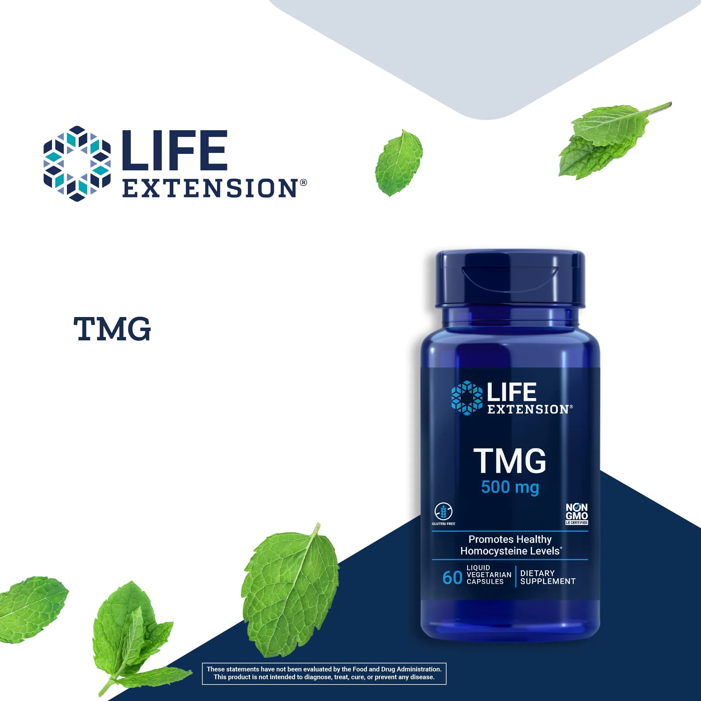 Life Extension TMG 500 mg Liquid Vegetarian Capsules (120 Count) | Supports Healthy Homocysteine Levels - view 4