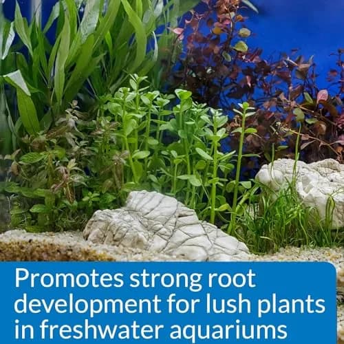 API Root Tabs Freshwater Aquarium Plant Fertilizer 0.4-Ounce 10-Count Box (Pack of 2) | Promotes Strong Root Development thumbnail 4