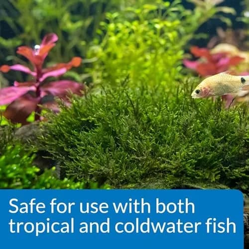 API Root Tabs Freshwater Aquarium Plant Fertilizer 0.4-Ounce 10-Count Box (Pack of 2) | Promotes Strong Root Development thumbnail 5