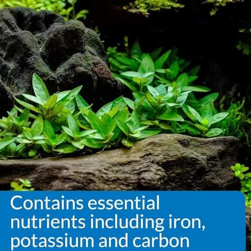 API Root Tabs Freshwater Aquarium Plant Fertilizer 0.4-Ounce 10-Count Box (Pack of 2) | Promotes Strong Root Development thumbnail 3
