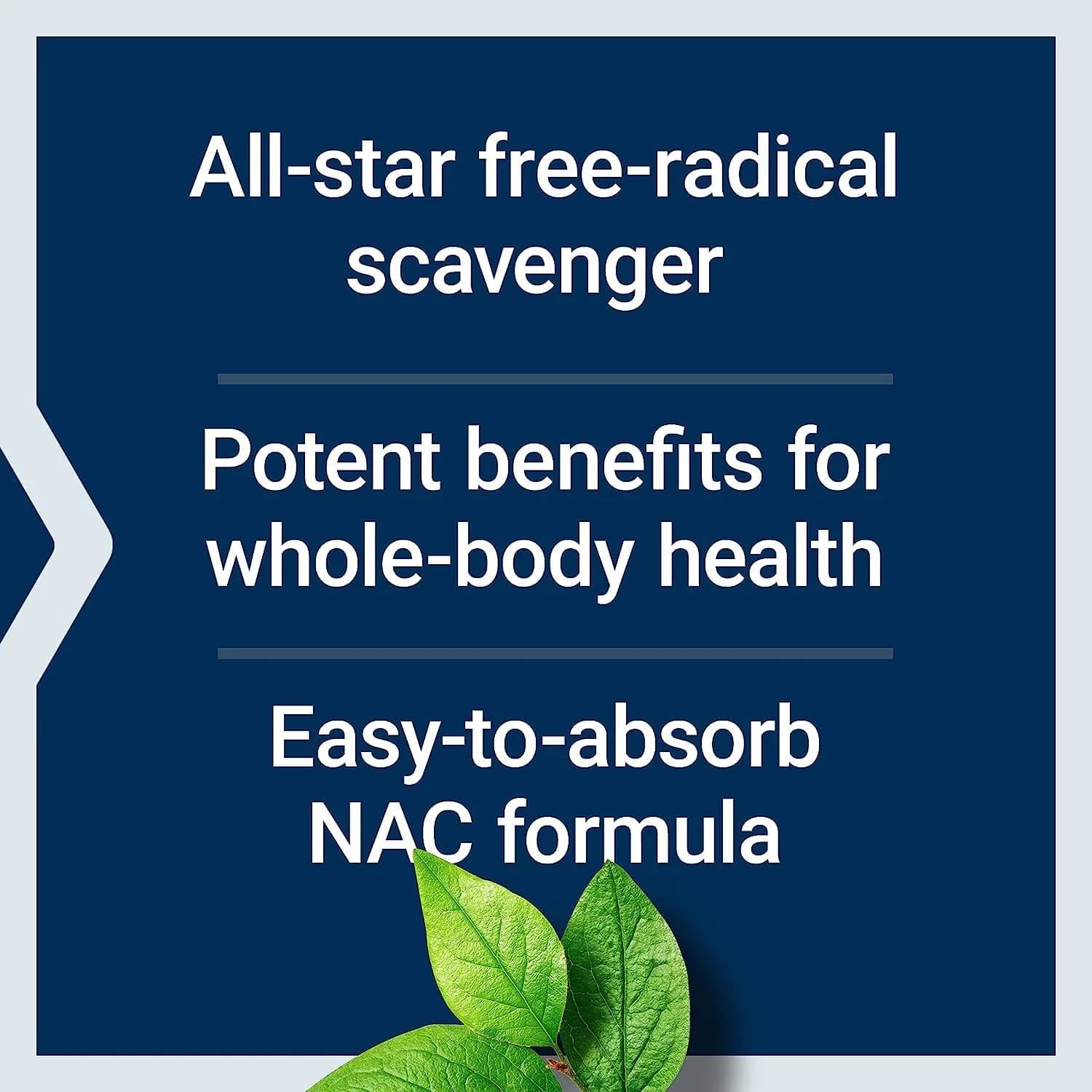 Life Extension N-Acetyl-L-Cysteine (NAC) 600 mg & DHEA 25 mg | Immune, Respiratory, Hormone Balance Support | 60 Capsules - view 4