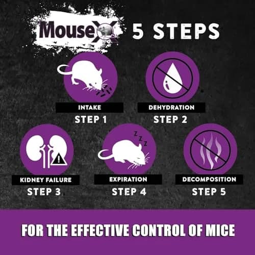 MouseX Throw Packs- for All Species of Rats Mice Safe Around Pets- Pack of 2 | Indoor & Outdoor Rodent Control Pellets thumbnail 7