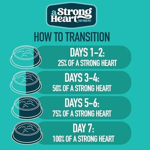 Strongheart Canned Wet Cat Food Turkey & Giblets Dinner 5.5 oz | Complete Nutrition for Cats thumbnail 3