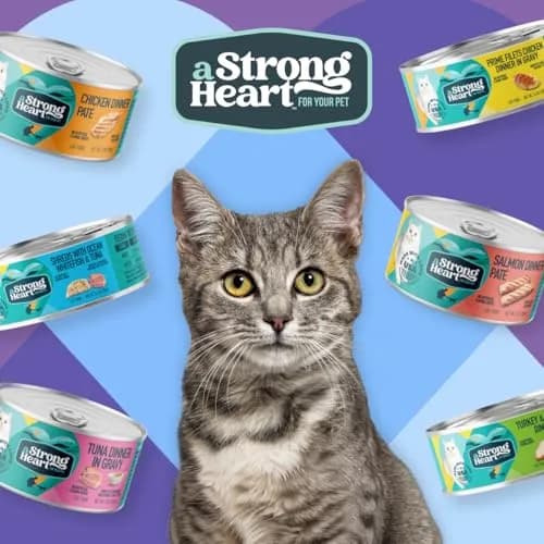 Strongheart Canned Wet Cat Food Turkey & Giblets Dinner 5.5 oz | Complete Nutrition for Cats thumbnail 4