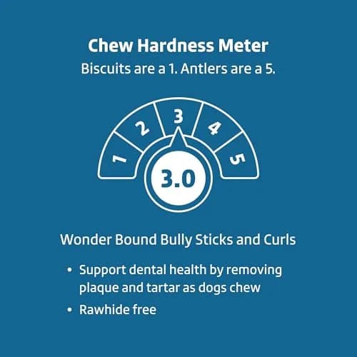 Wonder Bound Bully Sticks Dog Treats 12 inch | All-Natural, Highly Digestible, Long Lasting (12 Count) thumbnail 4