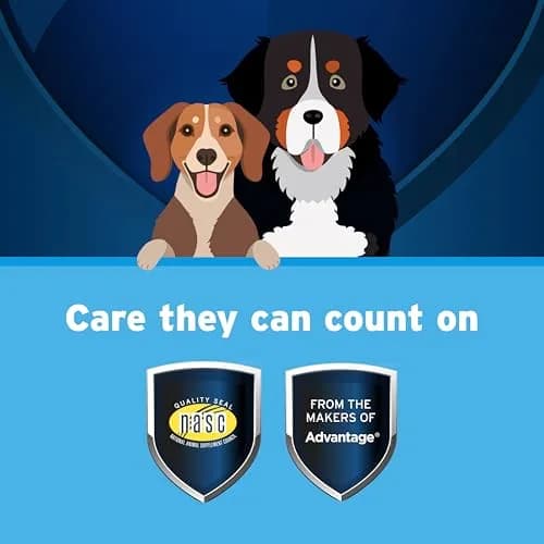 Pet Protect Omega-3 Fish Oil Supplement for Medium & Large Dogs 250ct | Supports Joint, Heart & Immune Health thumbnail 3