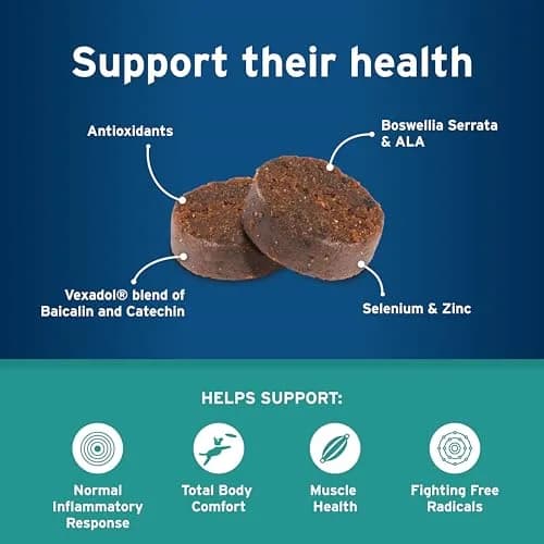 Pet Protect Body Comfort+ Supplement for Dogs, Chicken Flavor, 120ct | Supports Inflammation & Muscle Health thumbnail 4