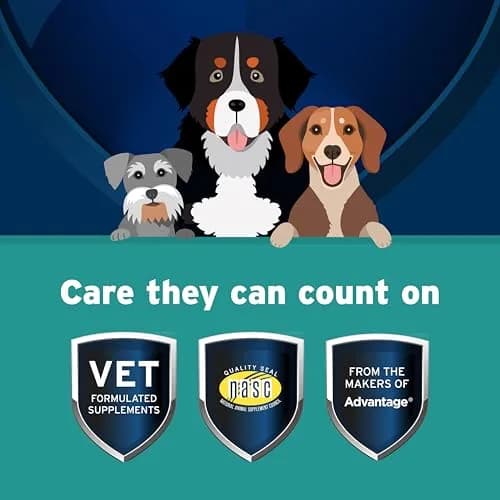 Pet Protect Body Comfort+ Supplement for Dogs, Chicken Flavor, 120ct | Supports Inflammation & Muscle Health thumbnail 3