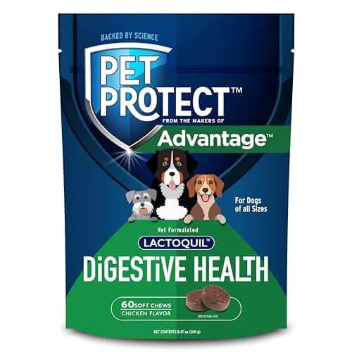Pet Protect Digestive Health Supplement for Dogs, Chicken Flavor, 60ct | Supports GI & Microbial Balance thumbnail 1