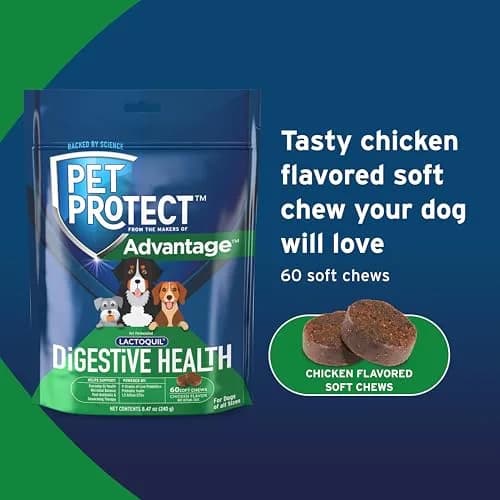 Pet Protect Digestive Health Supplement for Dogs, Chicken Flavor, 60ct | Supports GI & Microbial Balance thumbnail 5