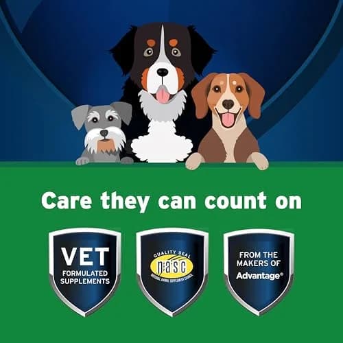 Pet Protect Digestive Health Supplement for Dogs, Chicken Flavor, 60ct | Supports GI & Microbial Balance thumbnail 3