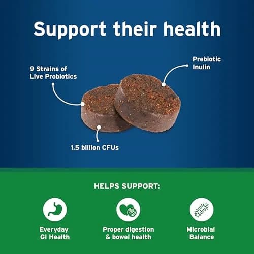 Pet Protect Digestive Health Supplement for Dogs, Chicken Flavor, 60ct | Supports GI & Microbial Balance thumbnail 4