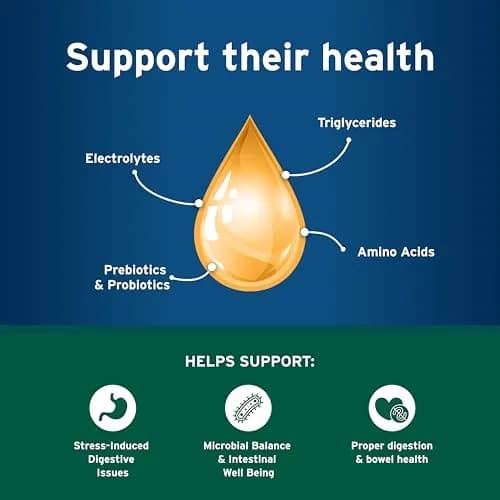 Pet Protect Cat Probiotic Balance+ Oral Gel, Chicken & Fish Flavor, 15g | Supports Gut Health & Digestion thumbnail 4