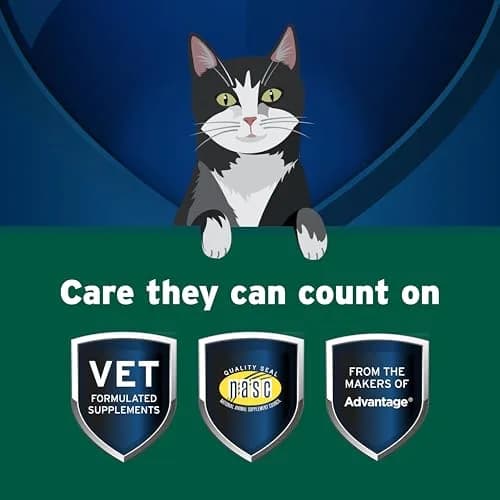 Pet Protect Cat Probiotic Balance+ Oral Gel, Chicken & Fish Flavor, 15g | Supports Gut Health & Digestion thumbnail 3