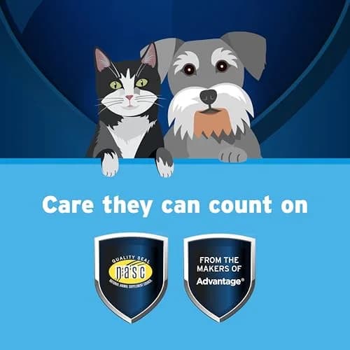 Pet Protect Omega-3 Fish Oil Supplement for Cats & Small Dogs, 60 Capsules | Supports Joint, Heart & Immune Health thumbnail 3