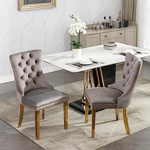Brisca Velvet Upholstered Dining Chair Set of 2 | Gray & Gold, Solid Wood Frame, Contemporary Design thumbnail 1