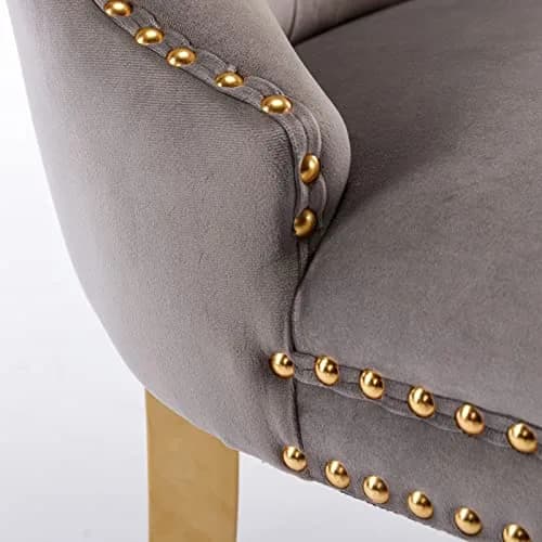 Brisca Velvet Upholstered Dining Chair Set of 2 | Gray & Gold, Solid Wood Frame, Contemporary Design thumbnail 8