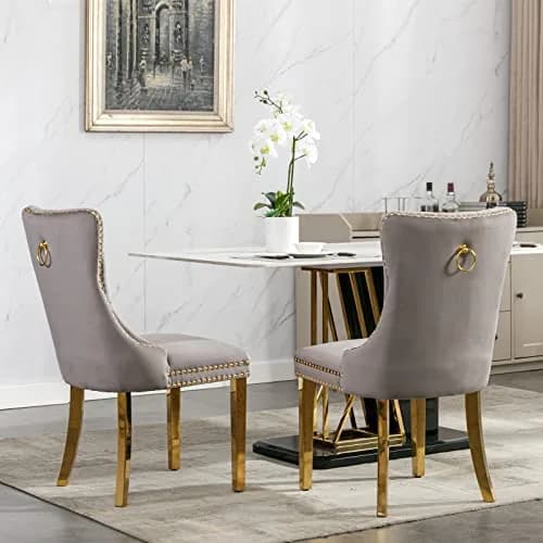 Brisca Velvet Upholstered Dining Chair Set of 2 | Gray & Gold, Solid Wood Frame, Contemporary Design thumbnail 2
