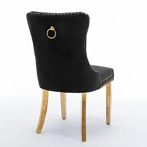 Brisca Velvet Upholstered Dining Chair Set of 2 | Solid Wood Frame & Golden Legs, Contemporary Design, 37.5" Height thumbnail 5
