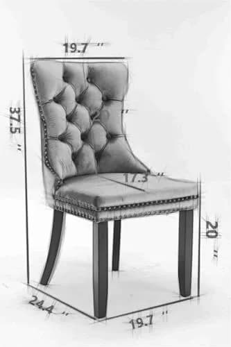 Brisca Velvet Upholstered Dining Chair Set of 2 | Solid Wood Frame & Golden Legs, Contemporary Design, 37.5" Height thumbnail 2