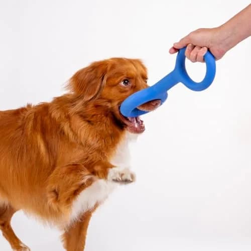 Ubbi Tuggle Dog Toy, Blue | Durable Natural Rubber Tug for Medium & Large Dogs thumbnail 7