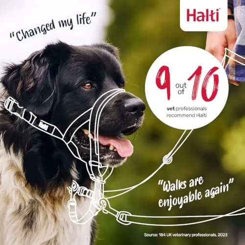 Halti Headcollar Size 2 Forest Green | Gentle Dog Training Collar for Medium Dogs, Stops Pulling thumbnail 5
