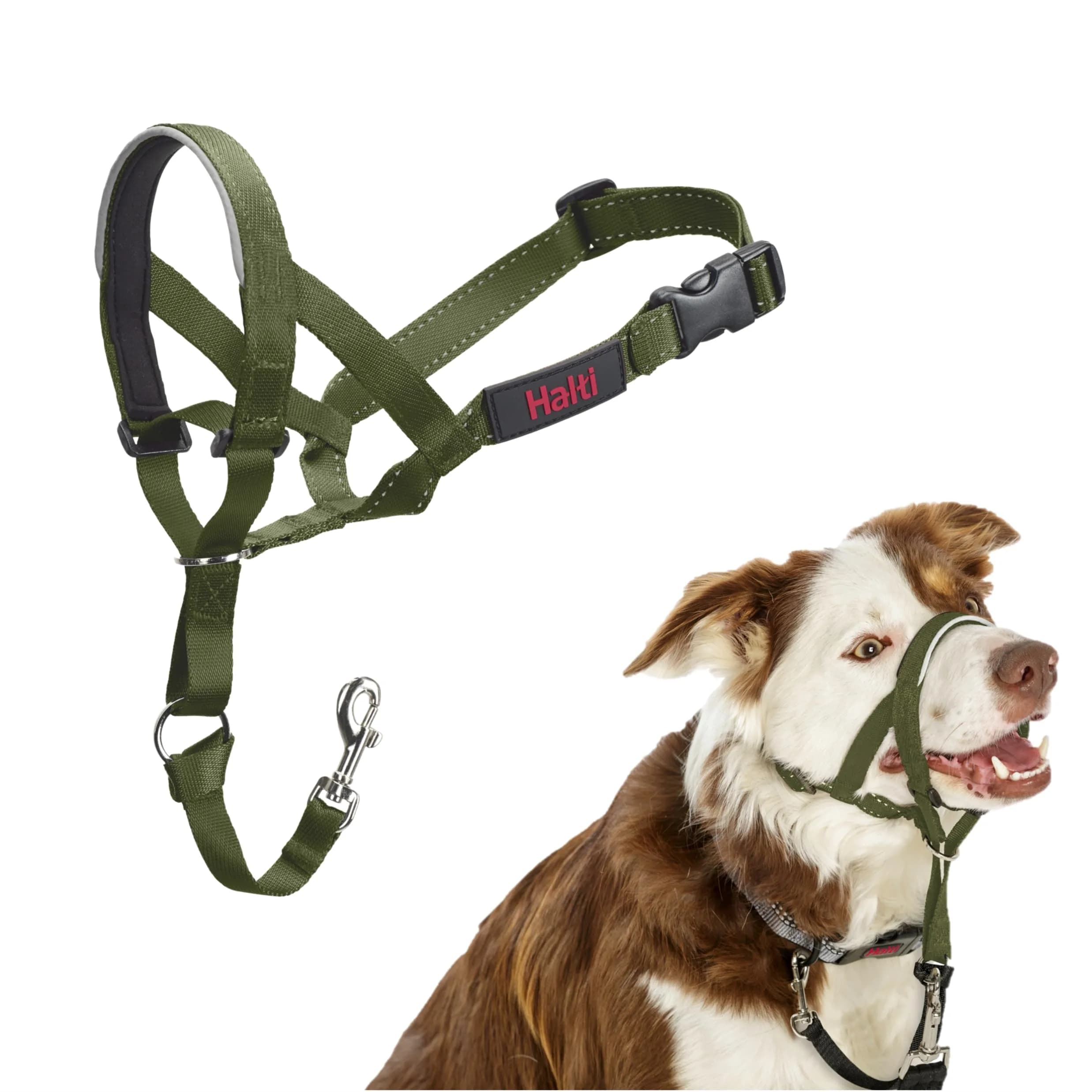 Halti Headcollar Size 2 Forest Green | Gentle Dog Training Collar for Medium Dogs, Stops Pulling - main product image