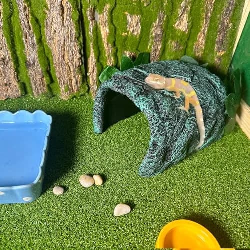 Tfwadmx Reptile Rock Hide Cave Large | Realistic Rock Texture for Small Reptiles & Pocket Pets thumbnail 6