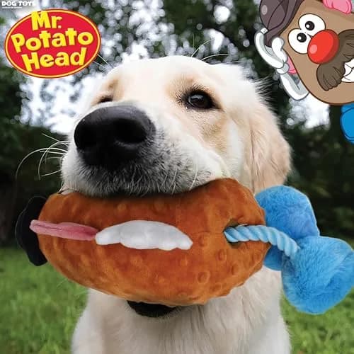 Hasbro 11in Dog Toy Squeak and Crinkle Mr. Potato Head | Plush Interactive Dog Toy, Mixed Colors thumbnail 2