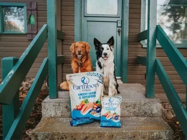 Earthborn Holistic Unrefined with Grains Smoked Salmon Dry Dog Food 25 lb | Ancient Grains & Superfoods for All Breeds thumbnail 2