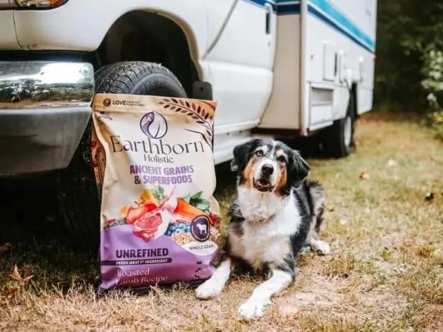 Earthborn Holistic Unrefined with Grains Roasted Lamb Dry Dog Food 11.34kg (25 lb) | Supports Sensitive Stomachs thumbnail 3