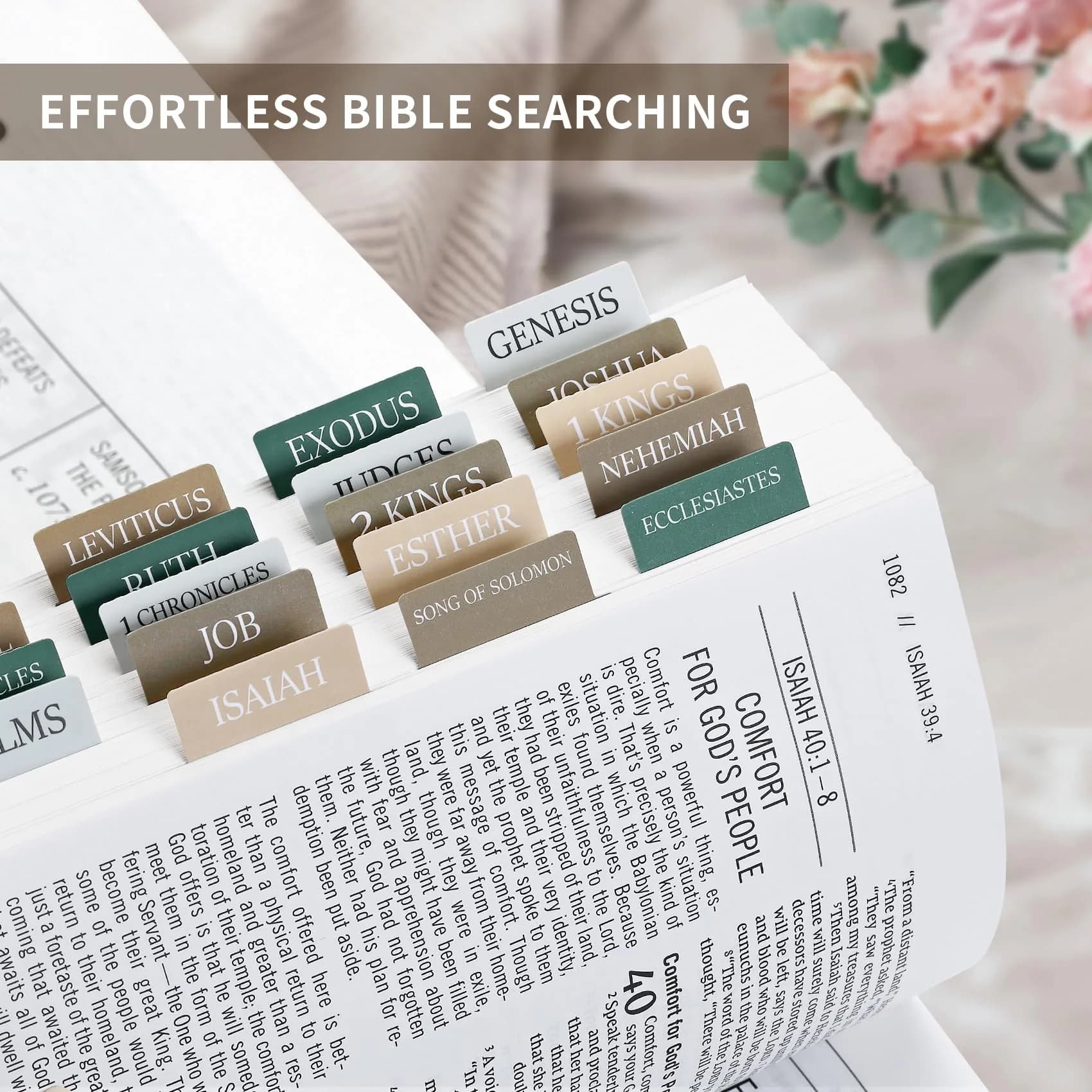 Taja Bible Tabs, Large Print Index Tabs for Old & New Testament, 75 Tabs | Boho-Inspired Design - view 3