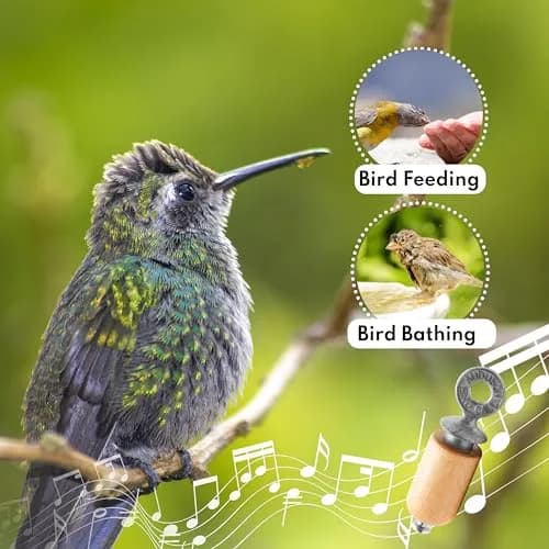 Audubon Bird Call - Natural Gift Pack | Authentic USA Import for Bird Watching thumbnail 3