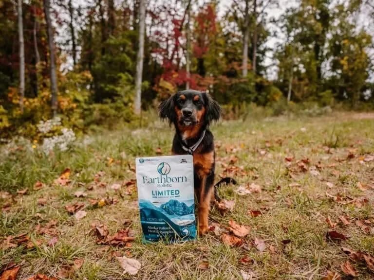 Earthborn Holistic Venture LID Pollock & Pumpkin Dry Dog Food 25 lb Bag | Limited Ingredient, Grain-Free, All Life Stages thumbnail 3