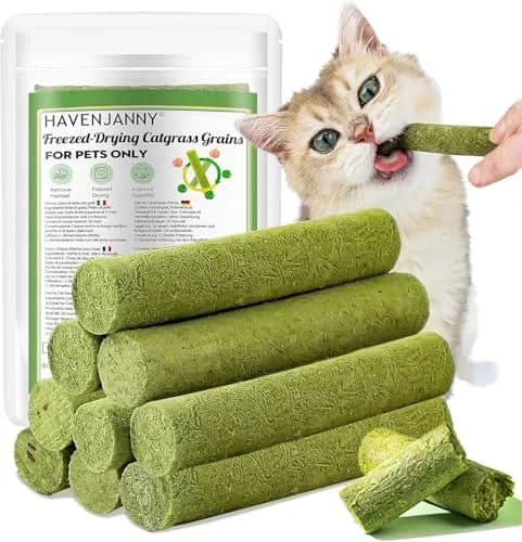 HavenJanny Cat Grass Teething Stick with Chicken 50g (1.76 oz) | Hairball Control & Dental Health thumbnail 1