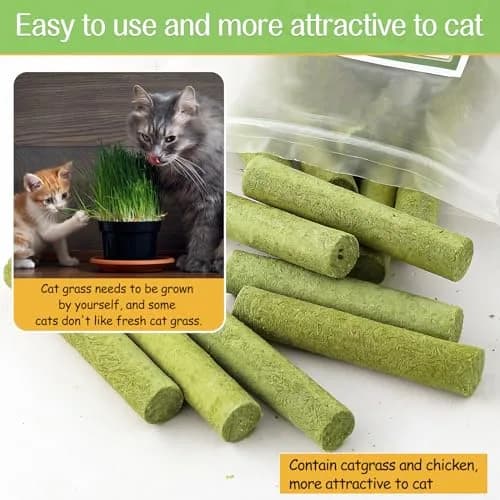 HavenJanny Cat Grass Teething Stick with Chicken 50g (1.76 oz) | Hairball Control & Dental Health thumbnail 4