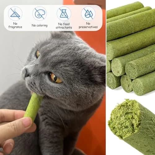 HavenJanny Cat Grass Teething Stick with Chicken 50g (1.76 oz) | Hairball Control & Dental Health thumbnail 9